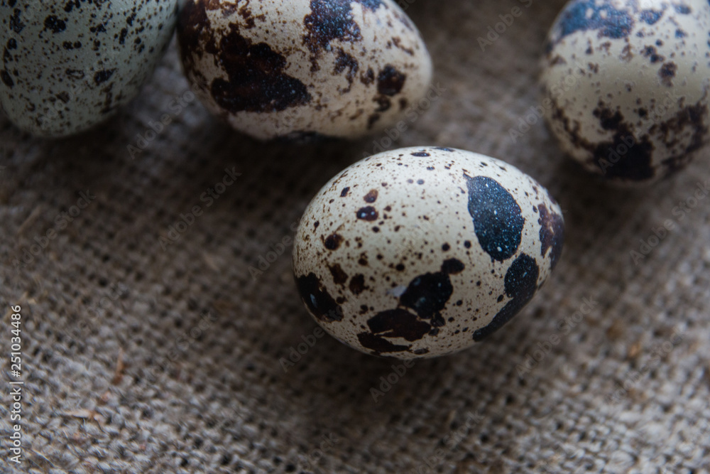 Textured spring background with small quail eggs on burlap background. Ecoproduct. Selective focus Textured spring background with small quail eggs on burlap background. Ecoproduct. Selective focus
