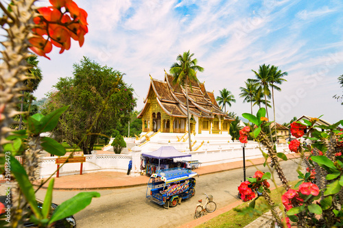 Stunning view of a tuk tuk (auto rickshaw) passing in front of the beautiful Haw Pha Bang Temple with some blurred Dok Champa laos national flowers in the foreground. Luang Prabang, Laos.