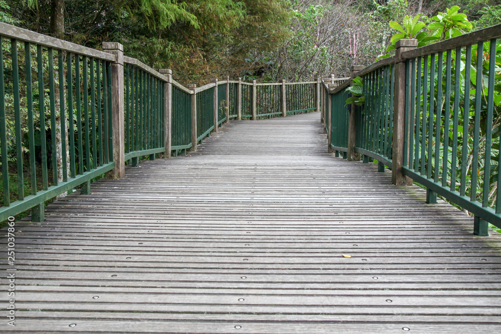 The walk way from wood for walk in sun moon lake at taiwan The walk way from wood for walk in sun moon lake at taiwan