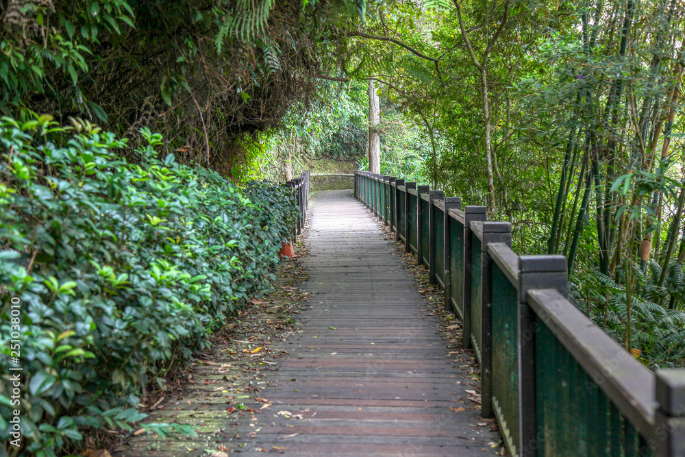 The walk way from wood for walk in sun moon lake at taiwan