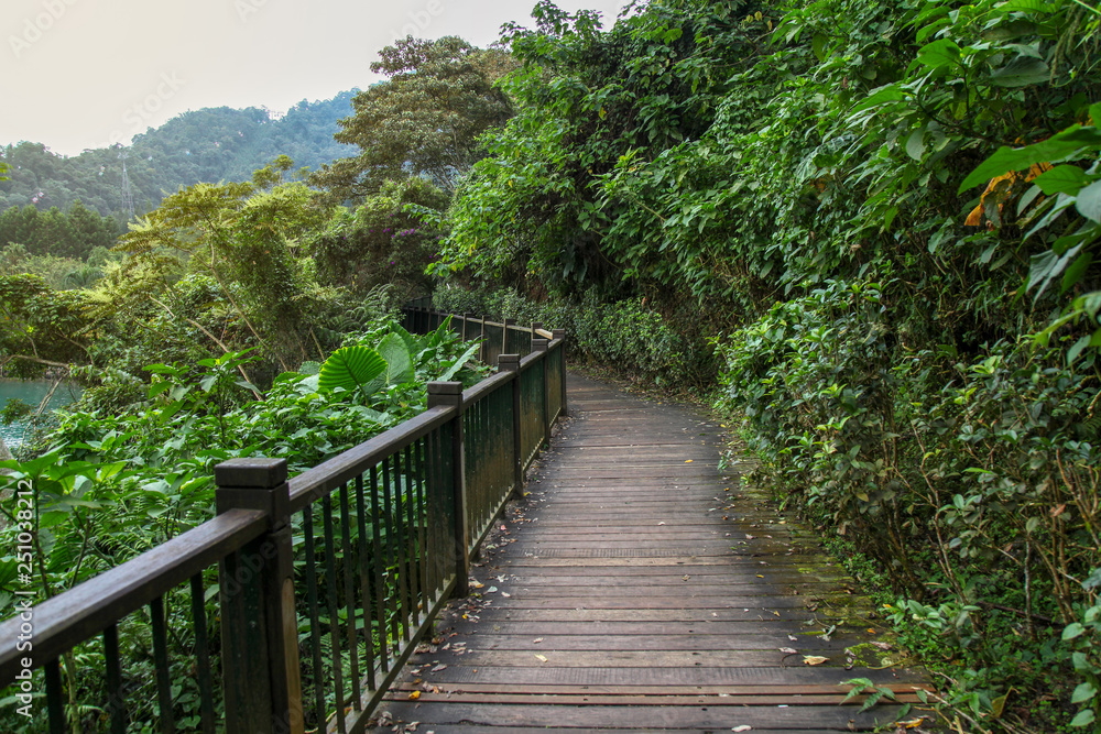 The walk way from wood for walk in sun moon lake at taiwan