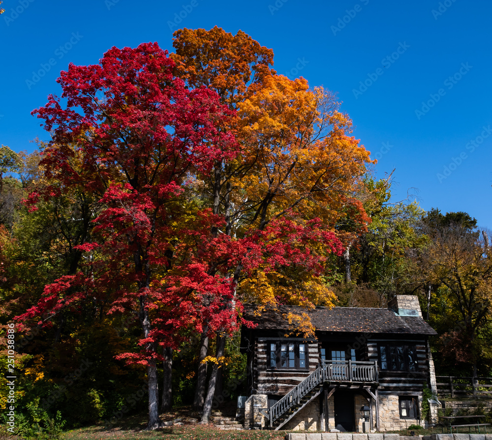 Obraz premium Fall colors
