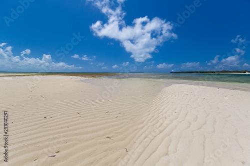 Zanzibar  landscape sea  white sand