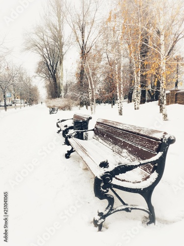 Wallpaper Mural winter. park. bench. Torontodigital.ca