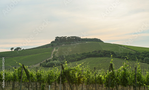 fantastic view of an Italy manor from the street