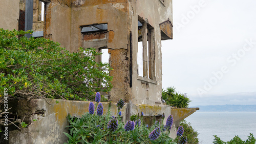 old house with flowers