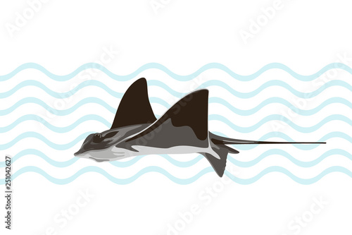 Swimming common stingray on abstract background. Vector illustration