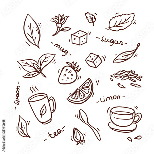 morning tea with lemon  sugar  strawberry  mint vector illustration hand draw