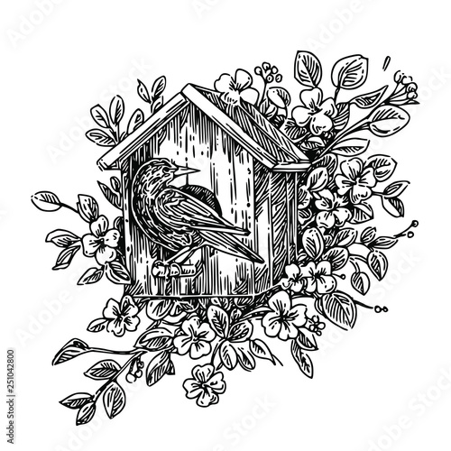 The birdhouse with starling  in the flowering branches. Engraving style. Vector illustration. 