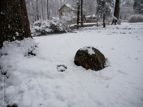 rock in the garden in winter © Michele