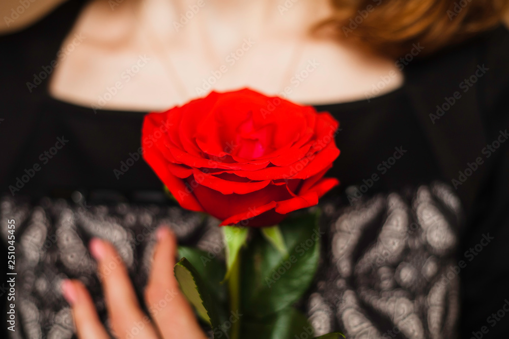 Beautiful young girl holding a red rose flower. Beautiful young girl holding a red rose flower.