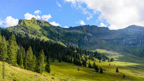 mountain landscape at kanisfluh, bregenzer wald, vorarlberg, austria photo