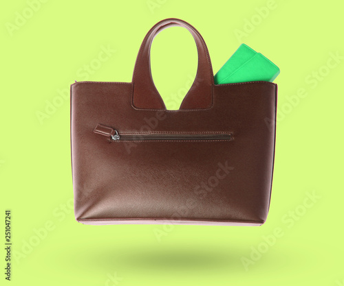 3D purse in a leather bag isolated on green background.