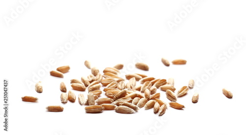 Wheat spelt grain heap isolated on white background