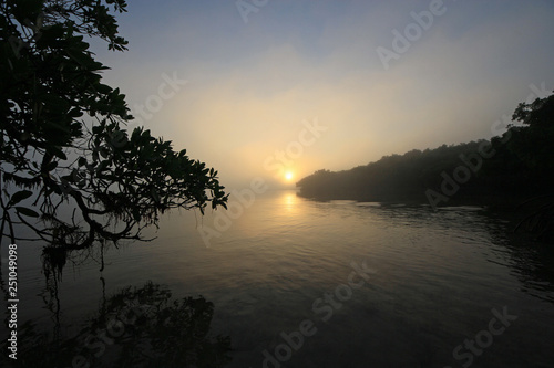 Foggy sunrise amidst the mangrove trees of Bear Cut off Key Biscayne, Florida.