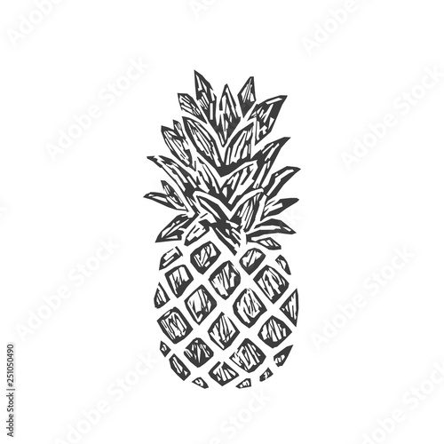 Modern Pineapple Shape. Exotic Tropical Summer Fruit.