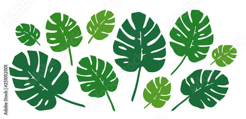 Green Philodendron Leaves Set. Vector.
