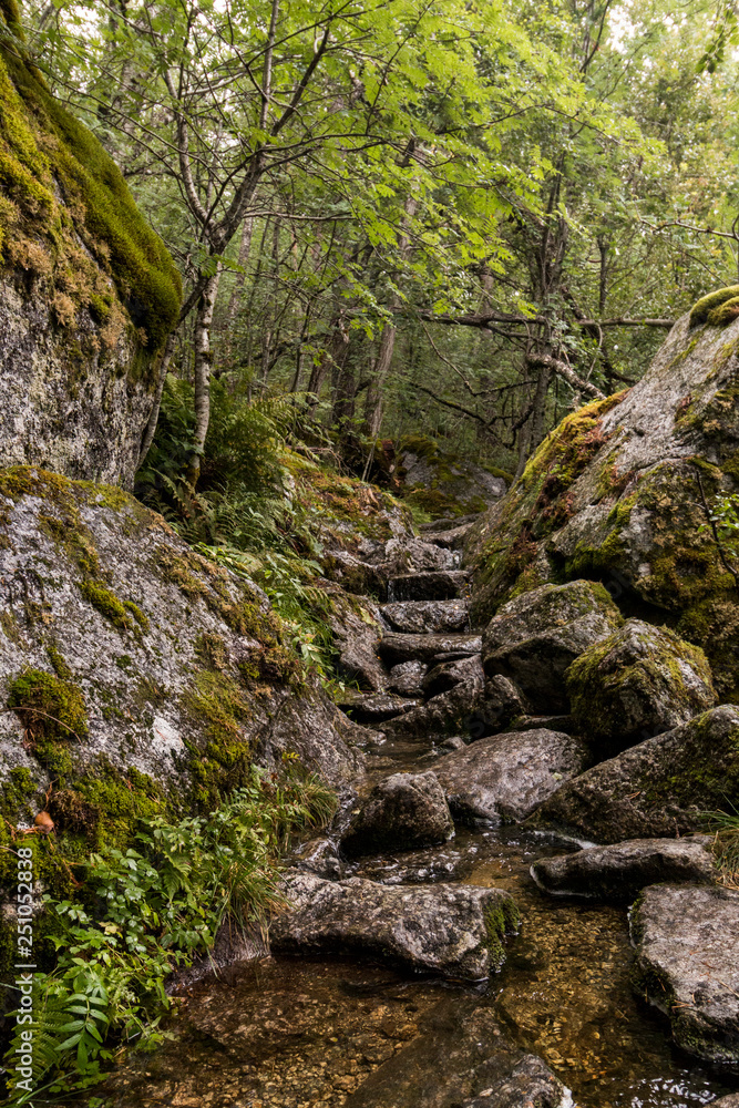 Fototapeta premium Wanderweg in Norwegen