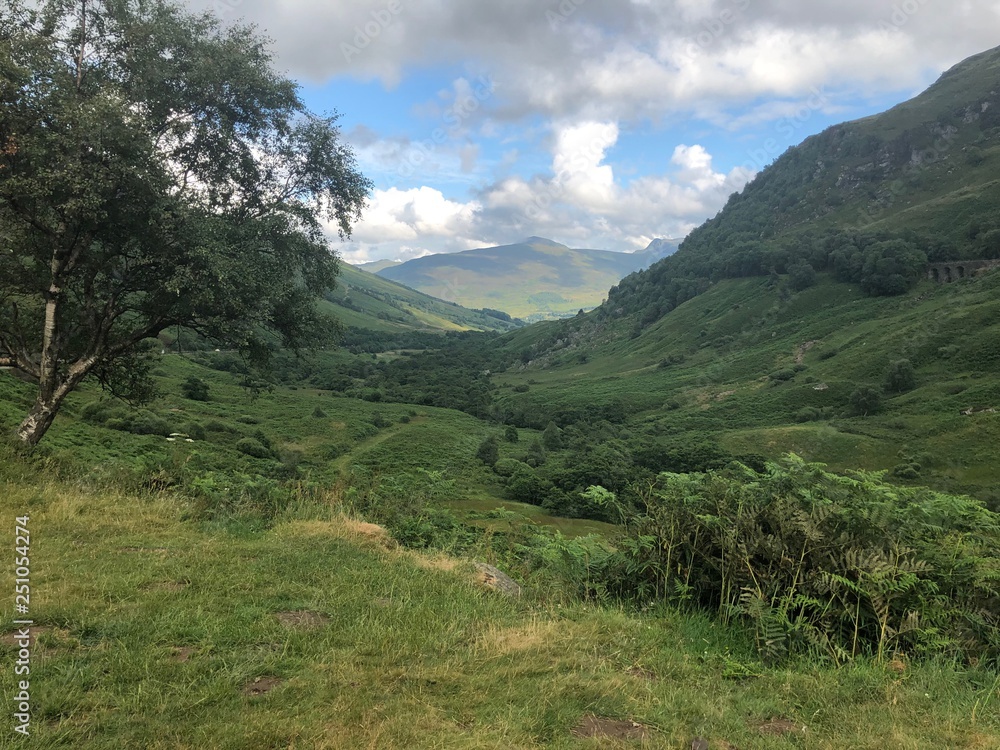 Naklejka premium Valley 