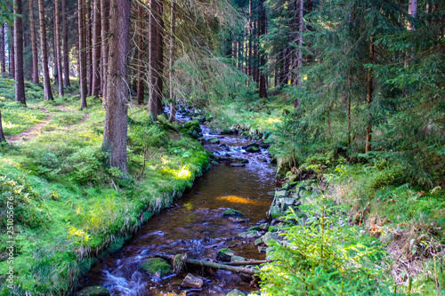 View from the Teufelsstein Steinbach-Ore Mountains, hiking area around the towns Johanngeorgenstadt / Eibenstock with rock landscape, streams, forest and green fields in front of blue sky photo