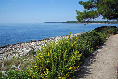 Mali Losinj Croatia Adriatic coast Europe details end of summer 17