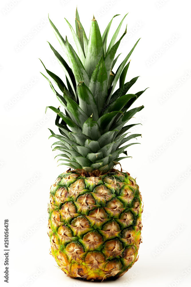 ripe pineapple ripe pineapple