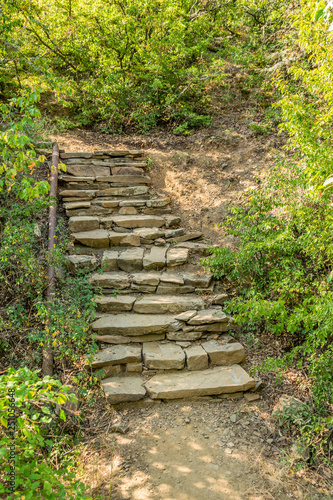 Steps in the mountain forest
