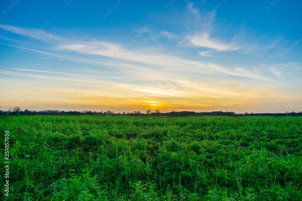 Sunset behind green Field