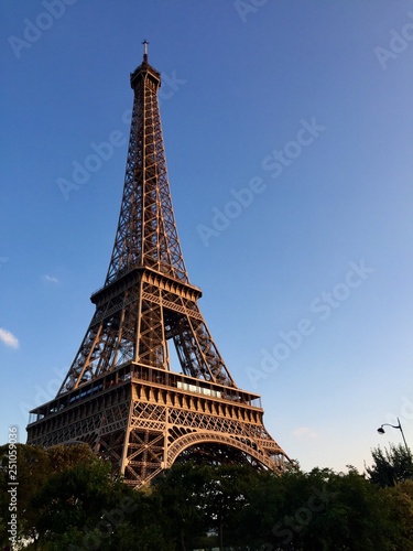 Fototapeta Naklejka Na Ścianę i Meble -  Eiffel tower in paris