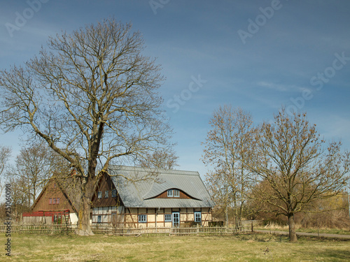 Idylle im Frühjahr