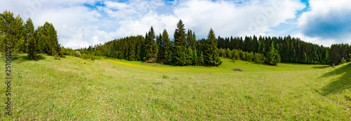 Panorama of rural field