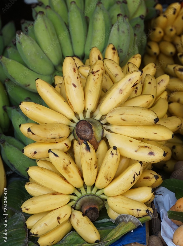 süsse mini Bananen süsse mini Bananen