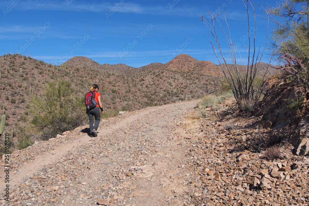 Woman hiking the King Canyon Trail in the Tucson Mountains area of Saguaro National Park, Arizona. Woman hiking the King Canyon Trail in the Tucson Mountains area of Saguaro National Park, Arizona.