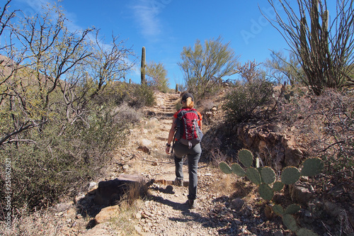 Woman hiking the King Canyon Trail in the Tucson Mountains area of Saguaro National Park, Arizona.