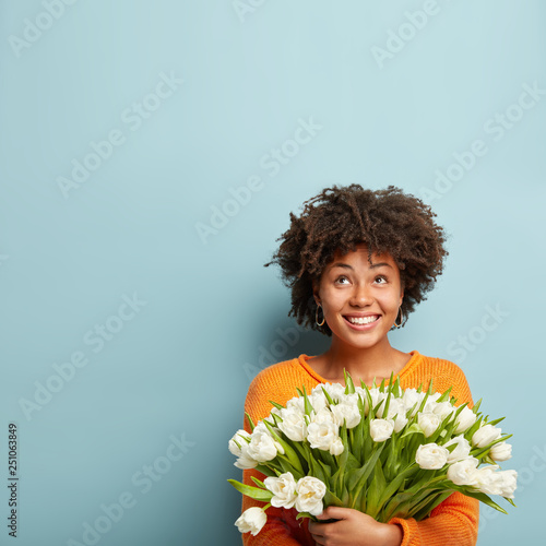 Vertical photo of joyful woman gazes upwards, smiles broadly, holds white tulips, wears jumper, rejoices Women Day, isolated over blue background with empty space above. Blossom, spring, good mood