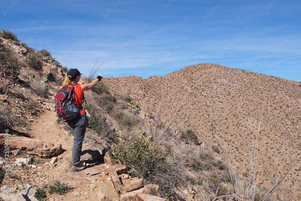 Naklejka premium Woman hiking the King Canyon Trail in the Tucson Mountains area of Saguaro National Park, Arizona.