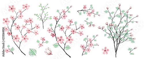 Branch with pink flowers, watercolor painting. Set: spring flowers, twigs, leaves. Botanical illustration.