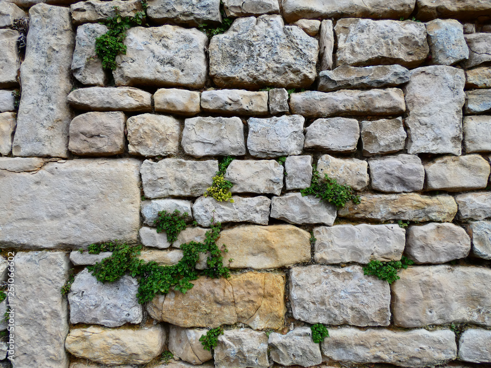 Obraz premium Old stone wall