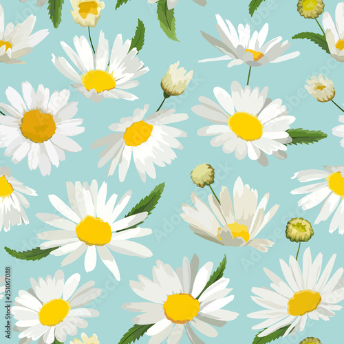 Floral Seamless Pattern with Chamomile Flowers. Natural Background with Daisy Flowers for Spring Summer Design Wallpaper, Decoration, Print. Vector illustration