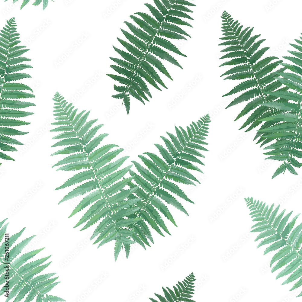 Herbs and Leaves Botanical Seamless Fern Leaf Natural Background. Floral Field Design for Wallpaper Print Tropical Decoration. Vector illustration Stock Vector | Adobe