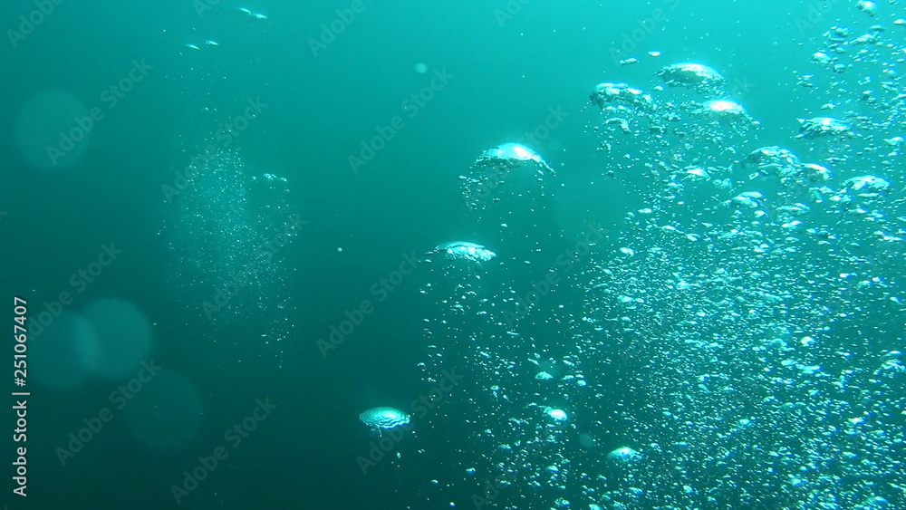 Obraz premium under the sea