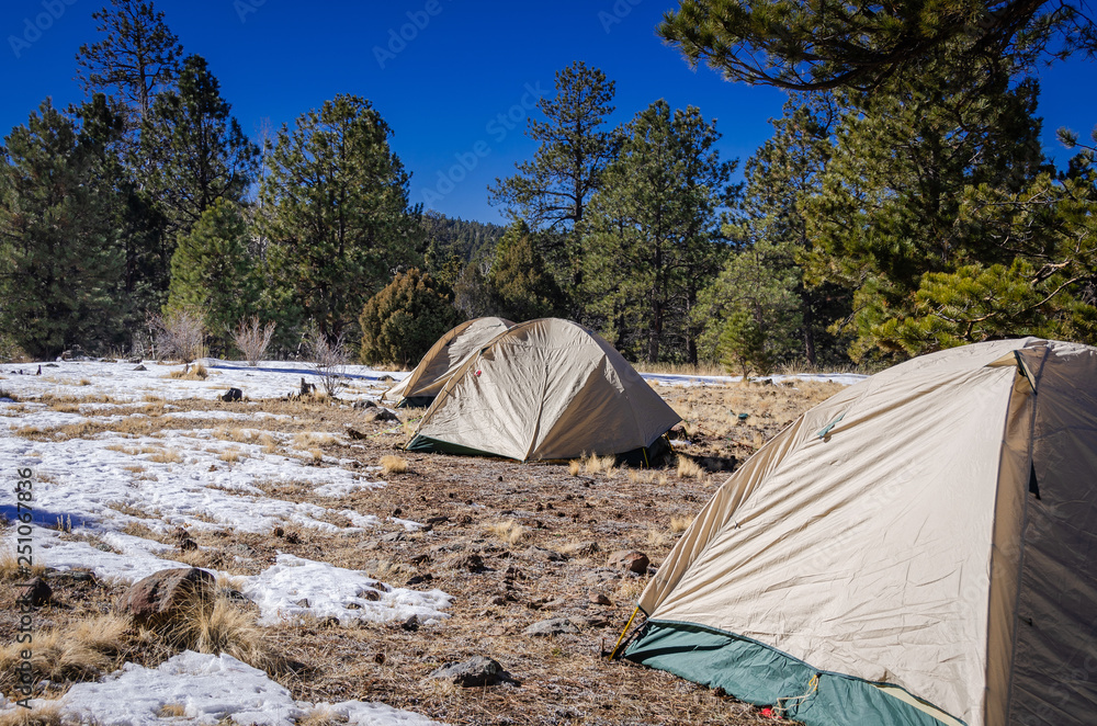 Tents in High Desert Forrest Horizontal