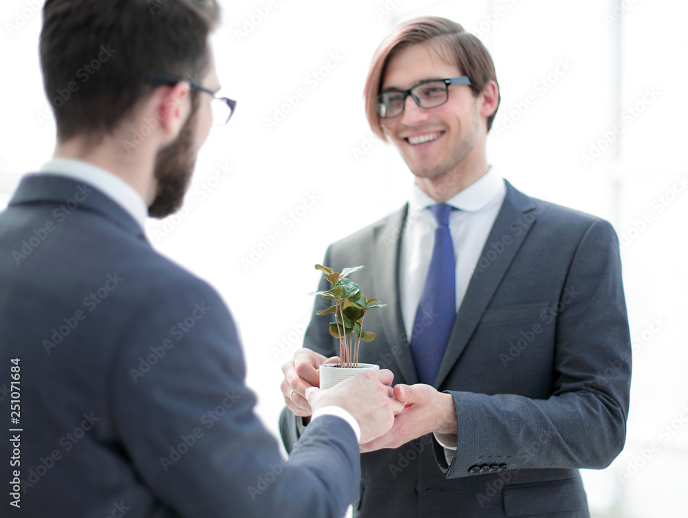 business partners are holding a young seedling business partners are holding a young seedling