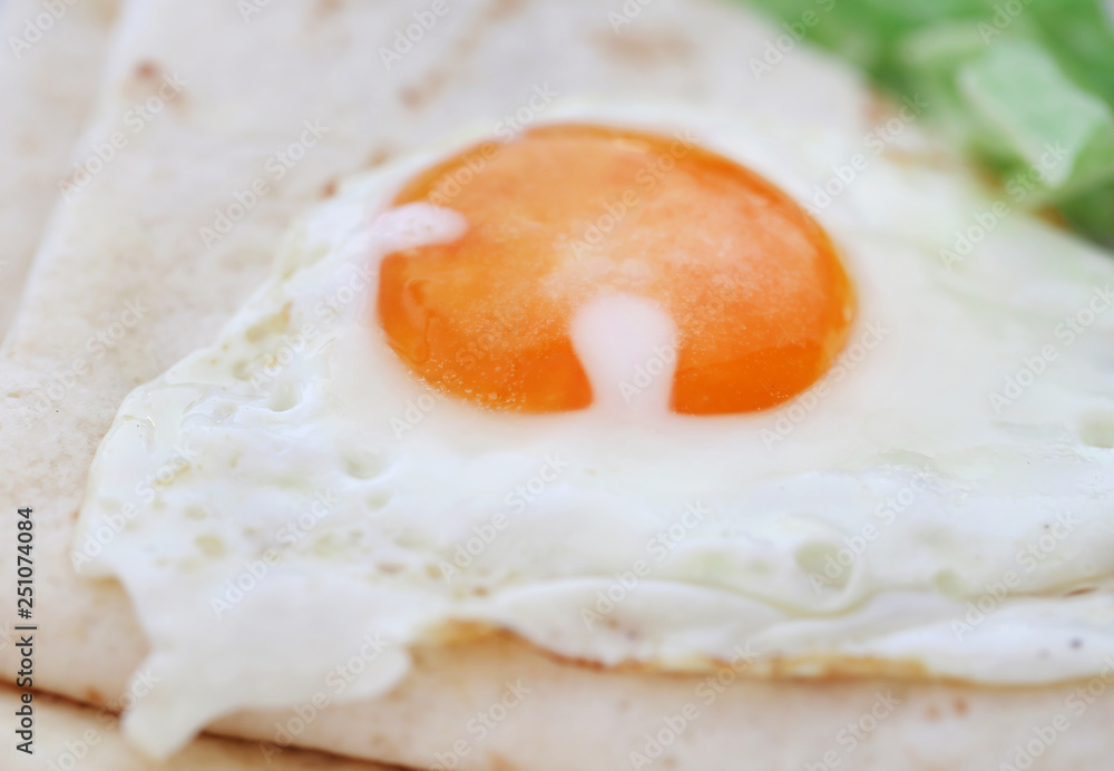Egg omelet with tortilla bread in a plate Egg omelet with tortilla bread in a plate