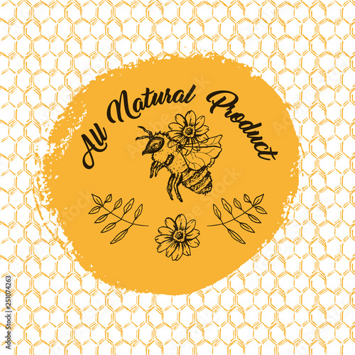 Honey Bee, Sketch Logo Design with Honeycomb Pattern. Vintage hand drawn isolated illustration with handcrafted lettering.