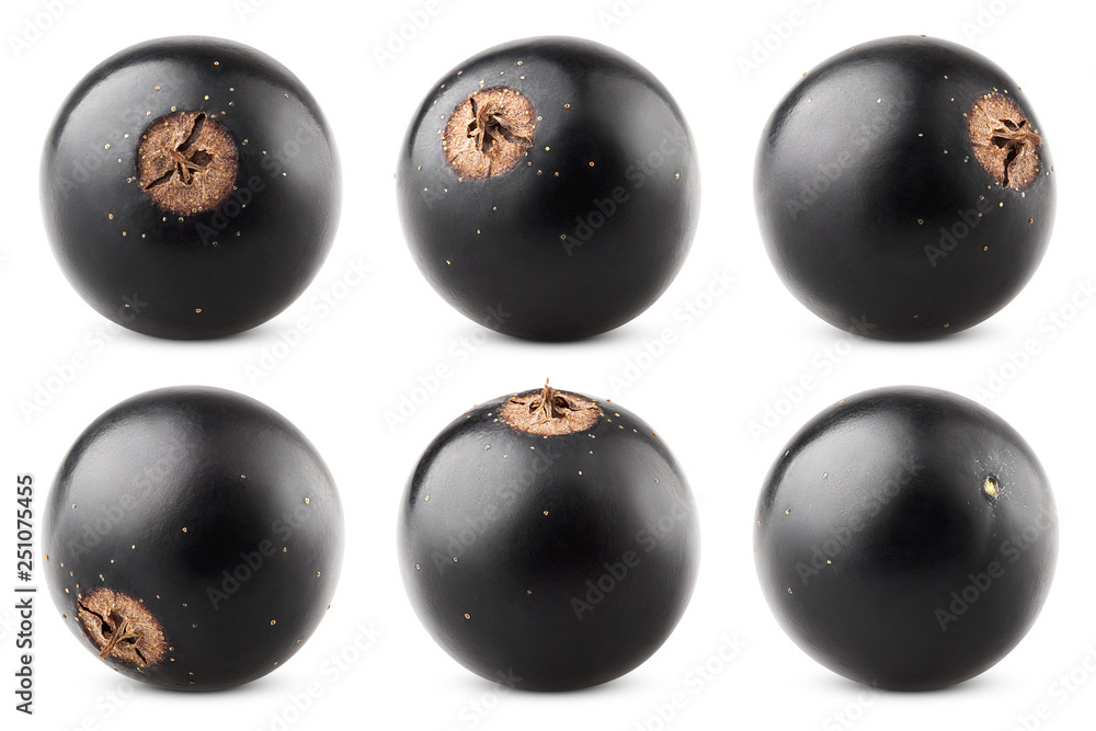 Black currant isolated on white background, clipping path, full depth of field Black currant isolated on white background, clipping path, full depth of field