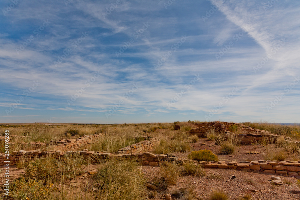 Petrified Forest National Park, Arizona, USA