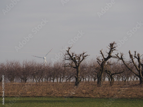 Fototapeta Naklejka Na Ścianę i Meble -  OLYMPUS DIGITAL CAMERA