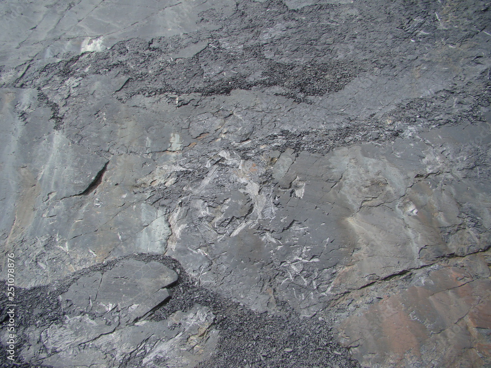 Fototapeta premium Mountain with fossil imprints of prehistoric plants, Ancash province, Peru 
