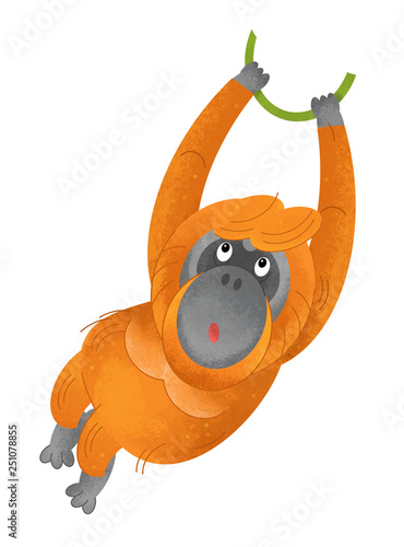 cartoon scene with monkey orangutan on white background - illustration for children photo